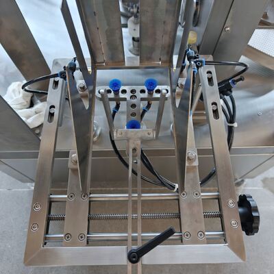 Multifunctional Snack Food Packaging Machine for Popcorn Chips Nuts Candies Premade Bag Packing Line