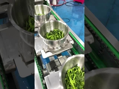 Food Grade 304 Stainless Steel Bowl Elevator Wild Vegetable Packing Machine