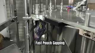 Filling and capping machine